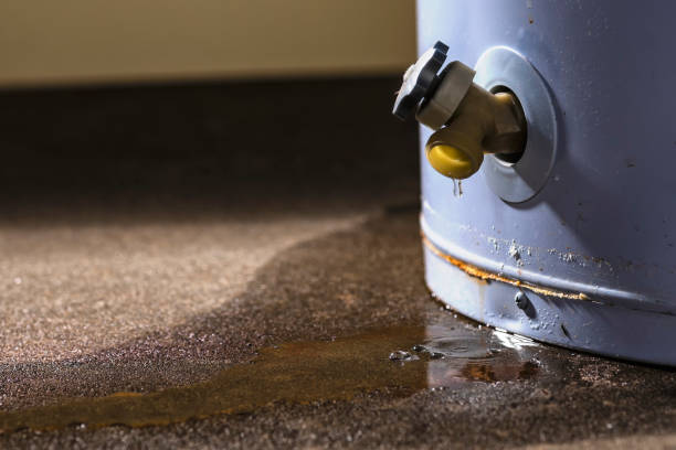 Best 24/7 water damage repair  in Sullivan, MO