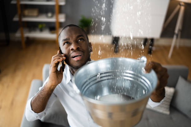 Best Water damage restoration insurance claims  in Sullivan, MO